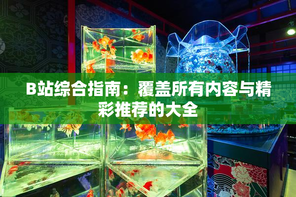 B站综合指南：覆盖所有内容与精彩推荐的大全