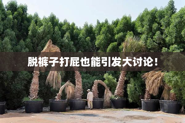 脱裤子打屁也能引发大讨论！