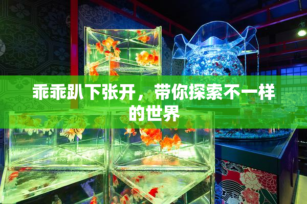 乖乖趴下张开，带你探索不一样的世界