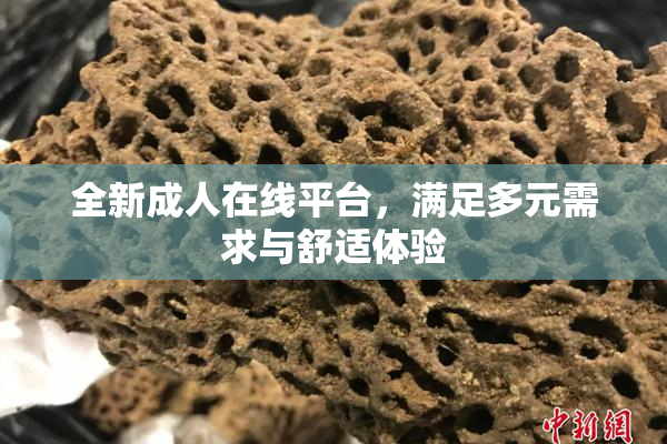全新成人在线平台，满足多元需求与舒适体验