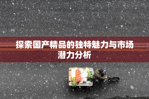 探索国产精品的独特魅力与市场潜力分析