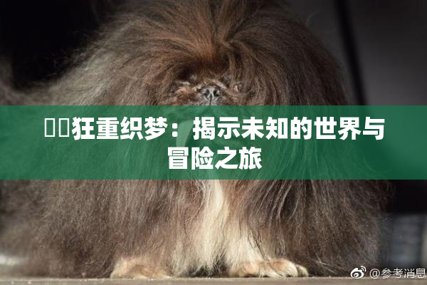 ❌‌狂重织梦：揭示未知的世界与冒险之旅
