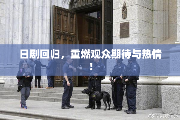 日剧回归，重燃观众期待与热情！