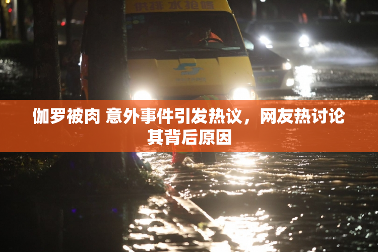 伽罗被肉 意外事件引发热议，网友热讨论其背后原因