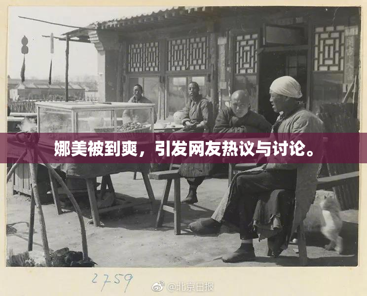娜美被到爽，引发网友热议与讨论。