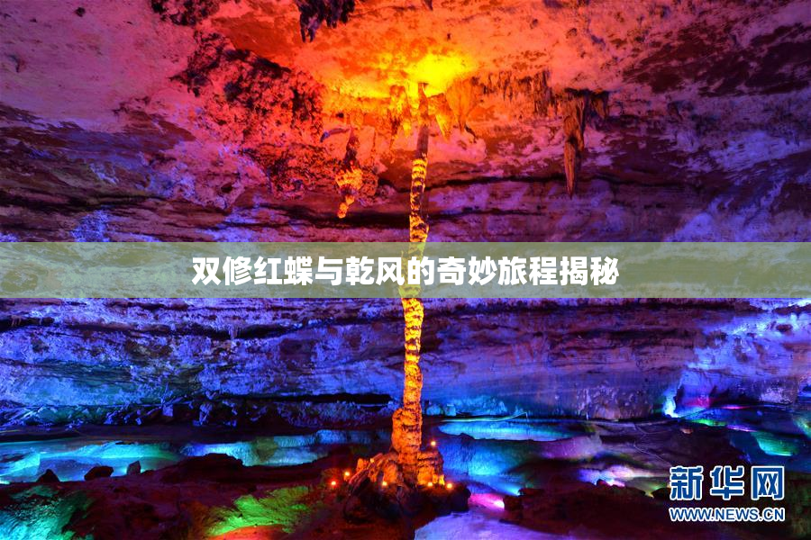 双修红蝶与乾风的奇妙旅程揭秘