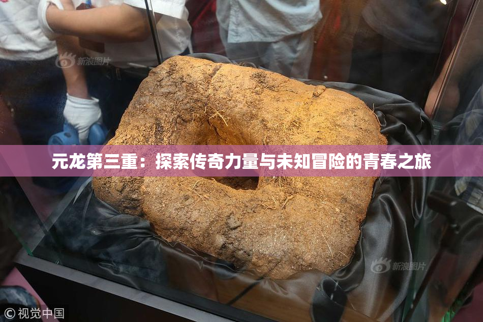 元龙第三重：探索传奇力量与未知冒险的青春之旅