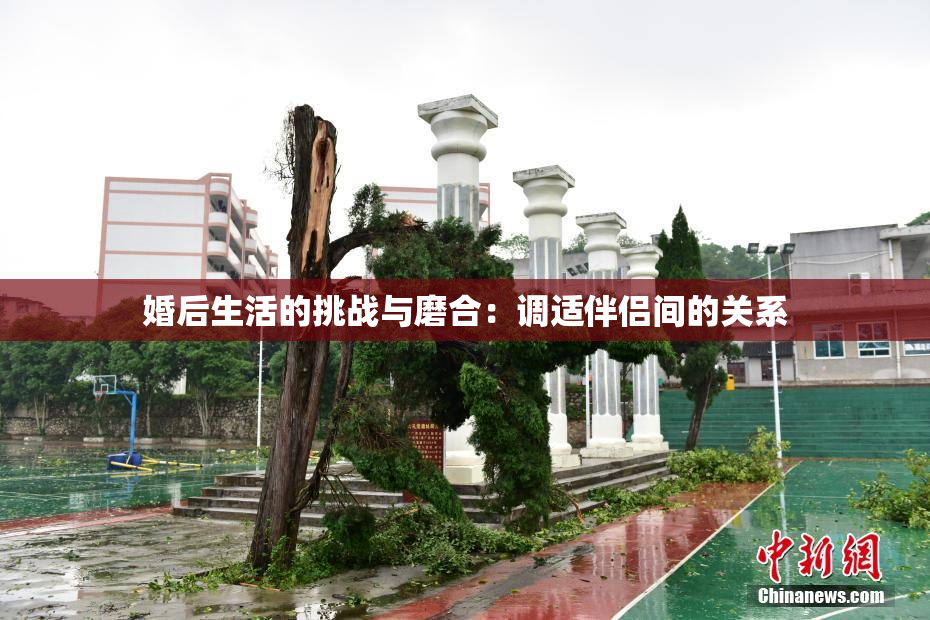婚后生活的挑战与磨合：调适伴侣间的关系