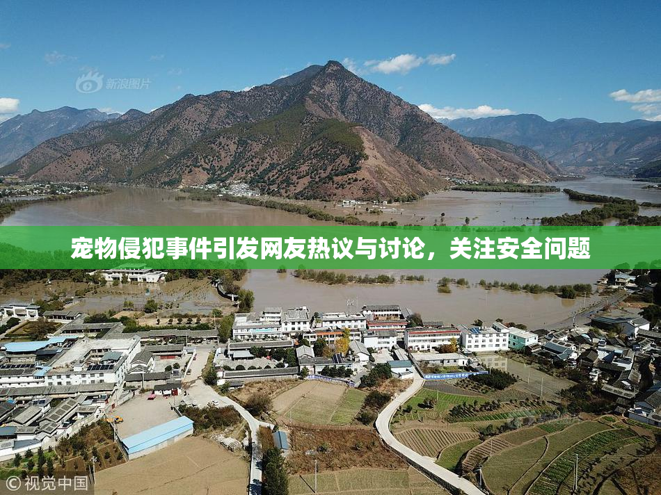 宠物侵犯事件引发网友热议与讨论，关注安全问题