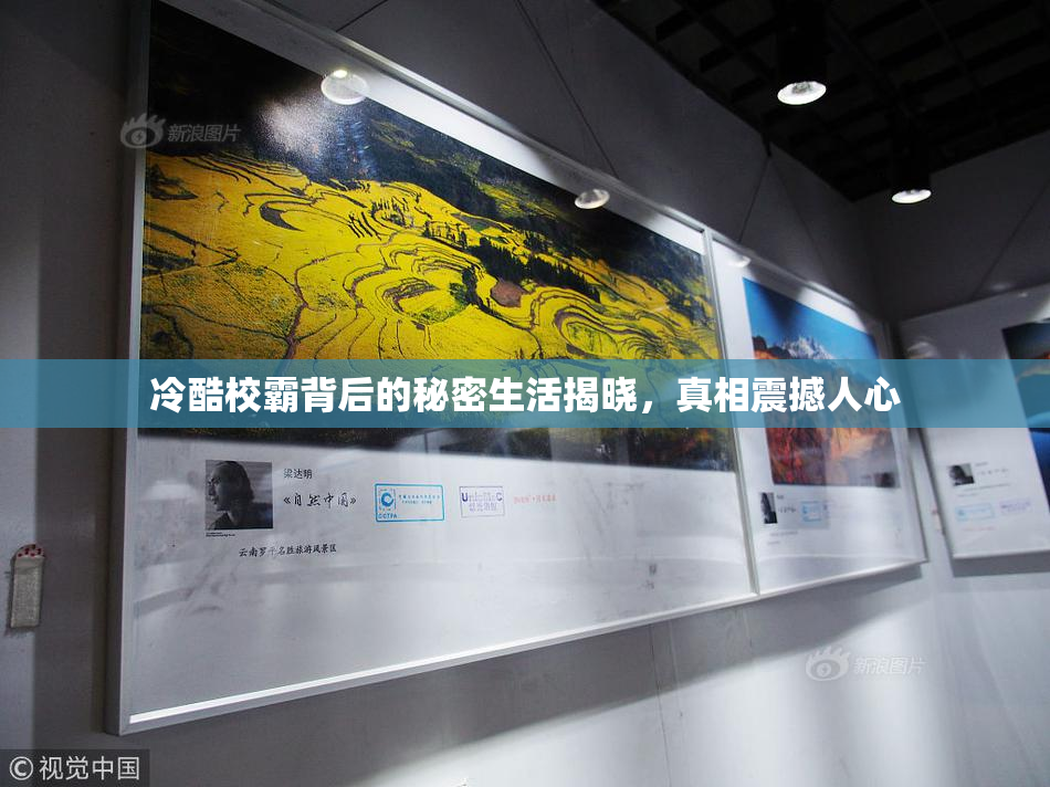 冷酷校霸背后的秘密生活揭晓，真相震撼人心