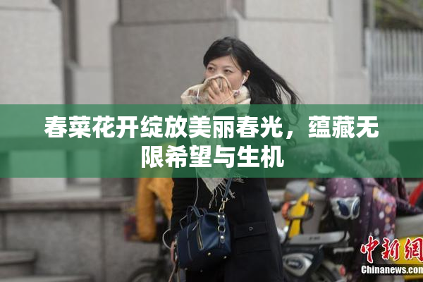 春菜花开绽放美丽春光，蕴藏无限希望与生机