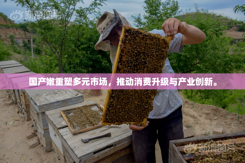 国产嫩重塑多元市场，推动消费升级与产业创新。