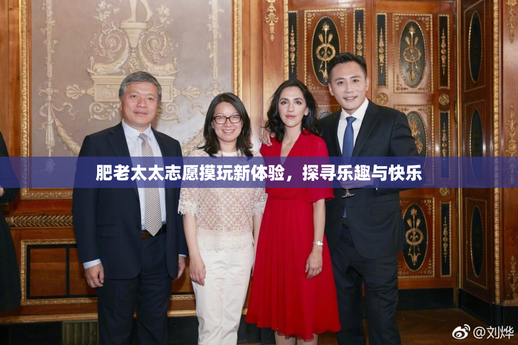 肥老太太志愿摸玩新体验，探寻乐趣与快乐