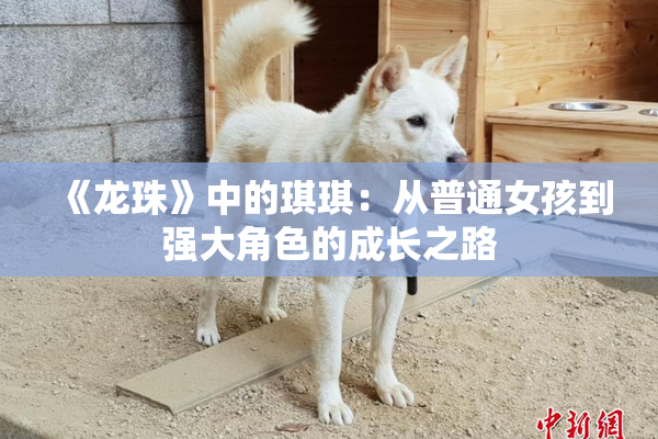 《龙珠》中的琪琪：从普通女孩到强大角色的成长之路