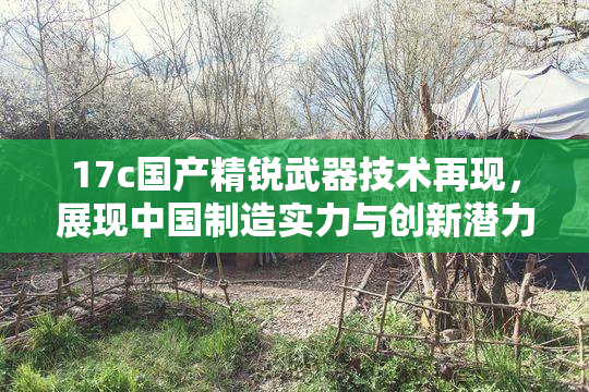 17c国产精锐武器技术再现，展现中国制造实力与创新潜力