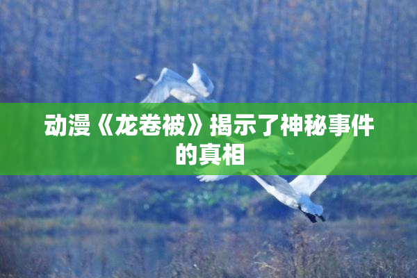动漫《龙卷被》揭示了神秘事件的真相