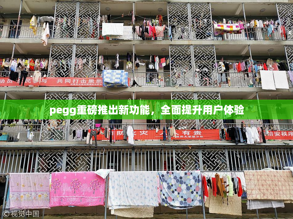 pegg重磅推出新功能，全面提升用户体验