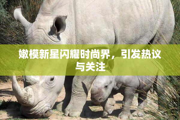 嫩模新星闪耀时尚界，引发热议与关注