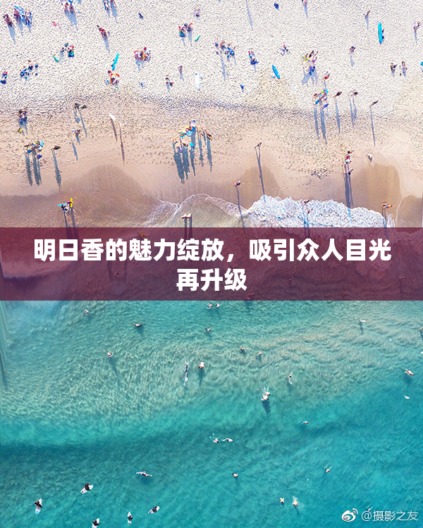 明日香的魅力绽放，吸引众人目光再升级