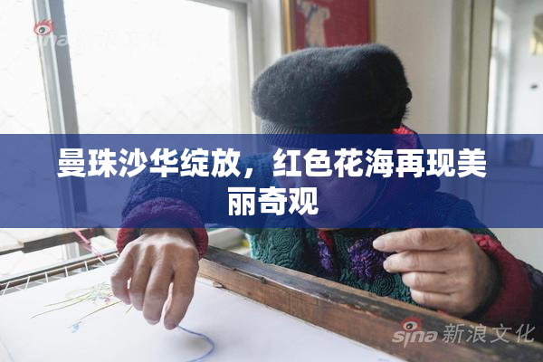 曼珠沙华绽放，红色花海再现美丽奇观
