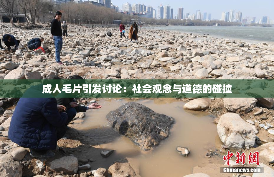 成人毛片引发讨论：社会观念与道德的碰撞
