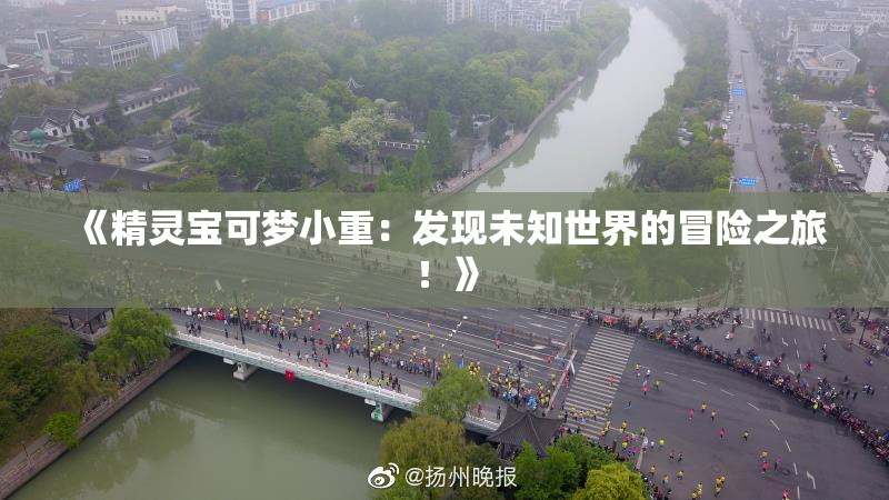 《精灵宝可梦小重：发现未知世界的冒险之旅！》