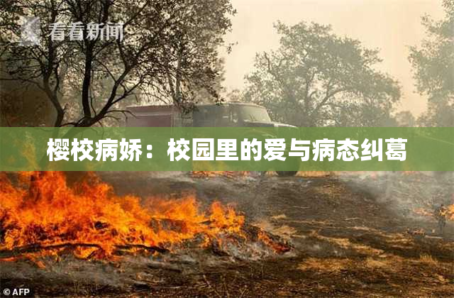 樱校病娇：校园里的爱与病态纠葛