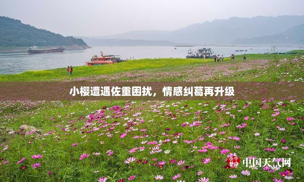 小樱遭遇佐重困扰，情感纠葛再升级