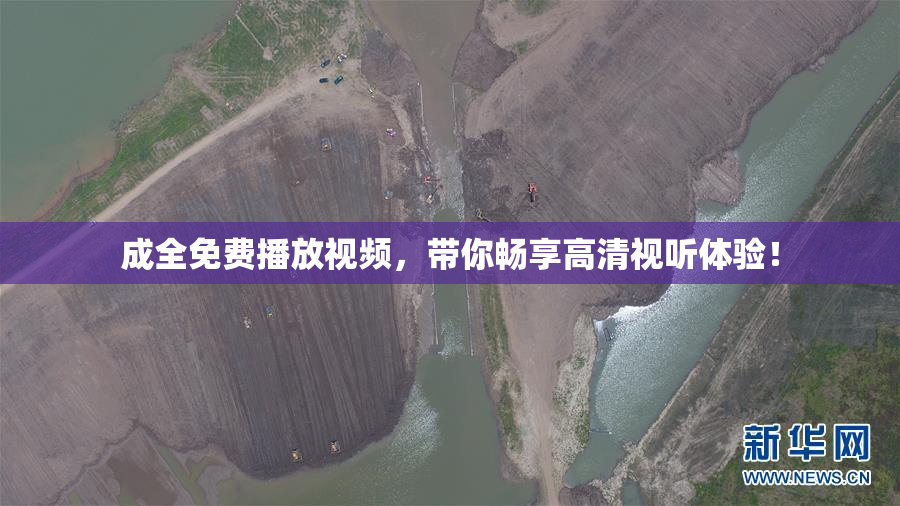 成全免费播放视频，带你畅享高清视听体验！