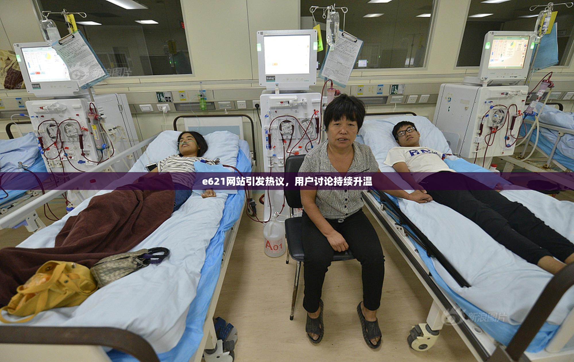 e621网站引发热议，用户讨论持续升温