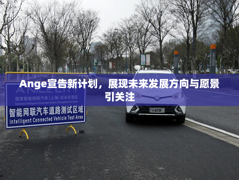 Ange宣告新计划，展现未来发展方向与愿景引关注