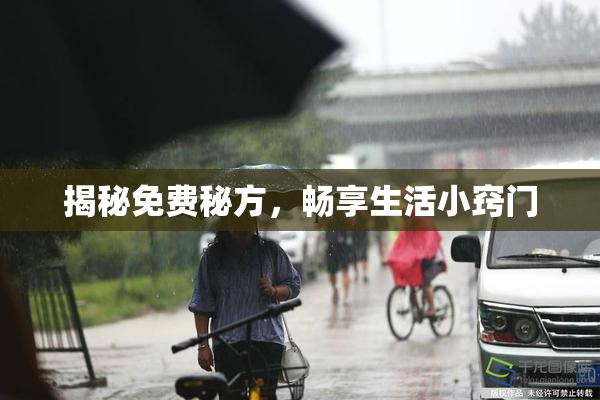 揭秘免费秘方，畅享生活小窍门