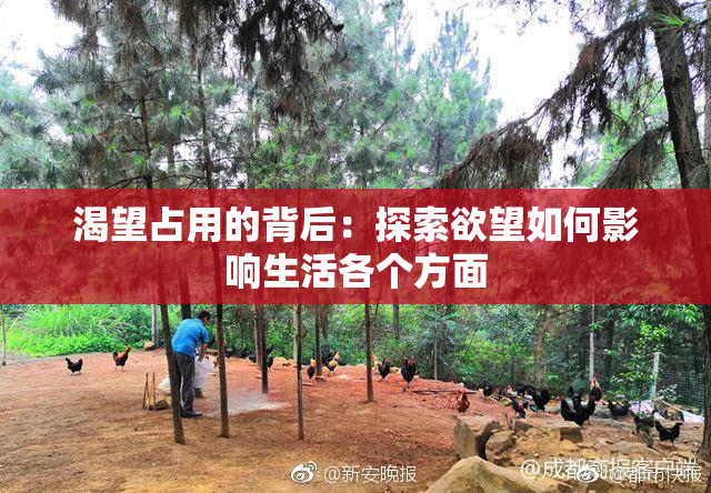渴望占用的背后：探索欲望如何影响生活各个方面