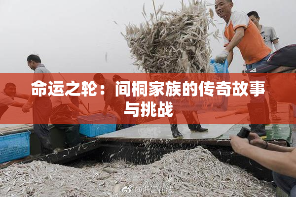 命运之轮：间桐家族的传奇故事与挑战
