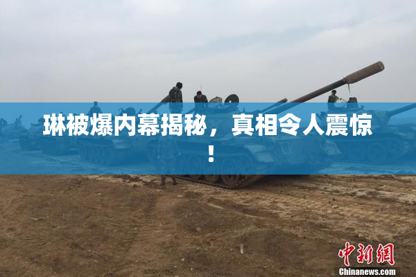 琳被爆内幕揭秘，真相令人震惊！