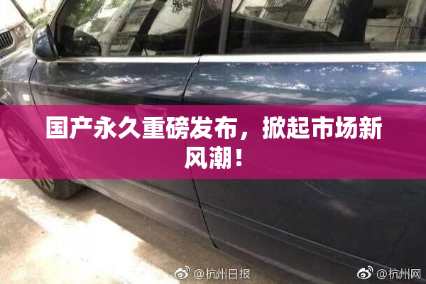 国产永久重磅发布，掀起市场新风潮！