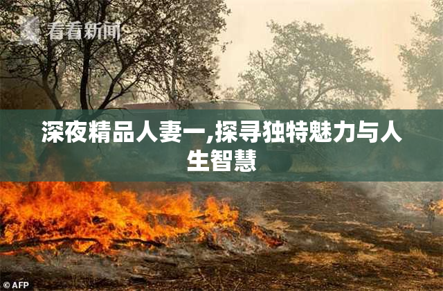 深夜精品人妻一,探寻独特魅力与人生智慧