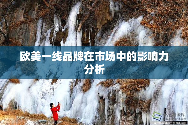 欧美一线品牌在市场中的影响力分析