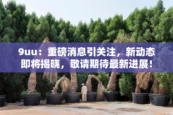 9uu：重磅消息引关注，新动态即将揭晓，敬请期待最新进展！
