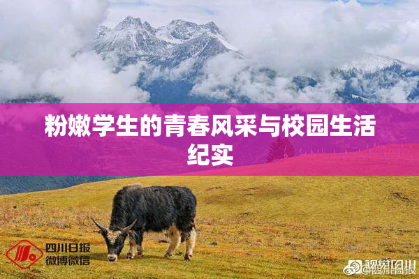 粉嫩学生的青春风采与校园生活纪实