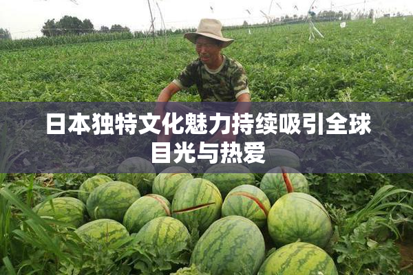 日本独特文化魅力持续吸引全球目光与热爱