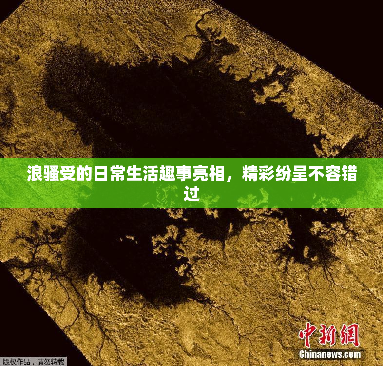 浪骚受的日常生活趣事亮相，精彩纷呈不容错过