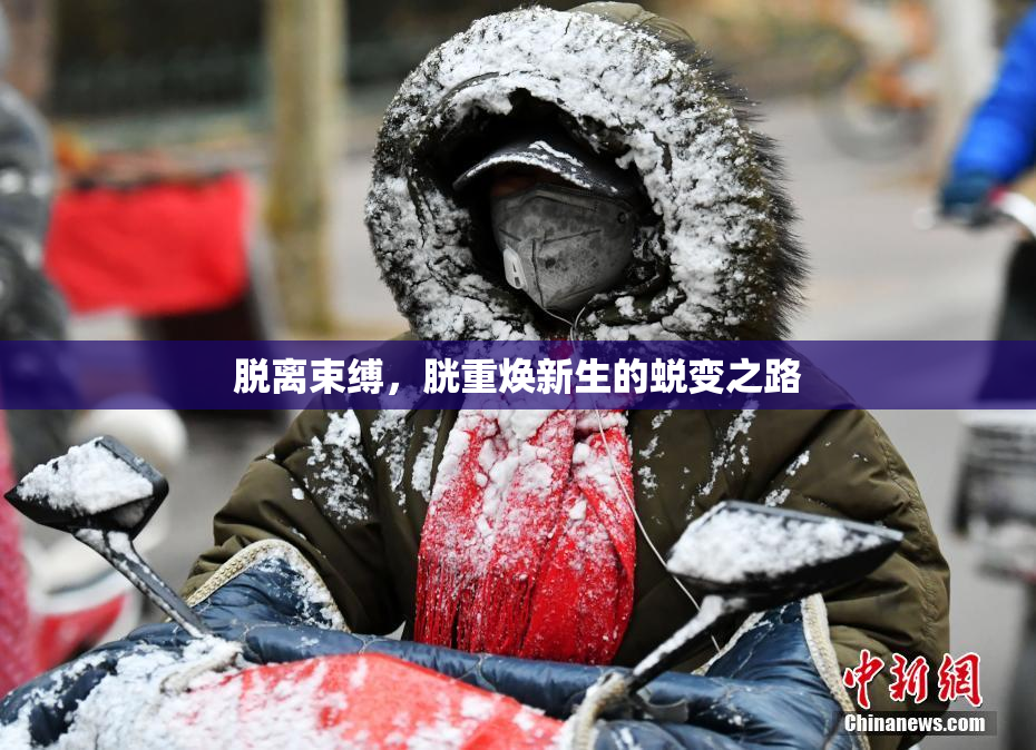 脱离束缚，胱重焕新生的蜕变之路
