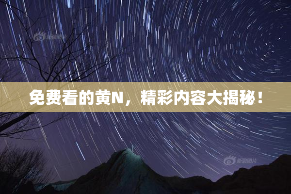 免费看的黄Ν，精彩内容大揭秘！