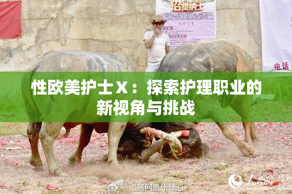 性欧美护士Ⅹ：探索护理职业的新视角与挑战