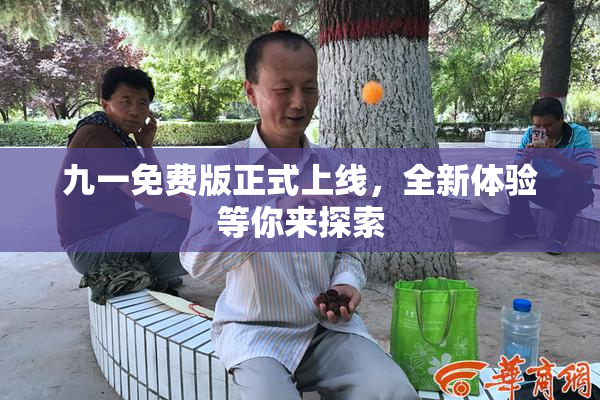 九一免费版正式上线，全新体验等你来探索
