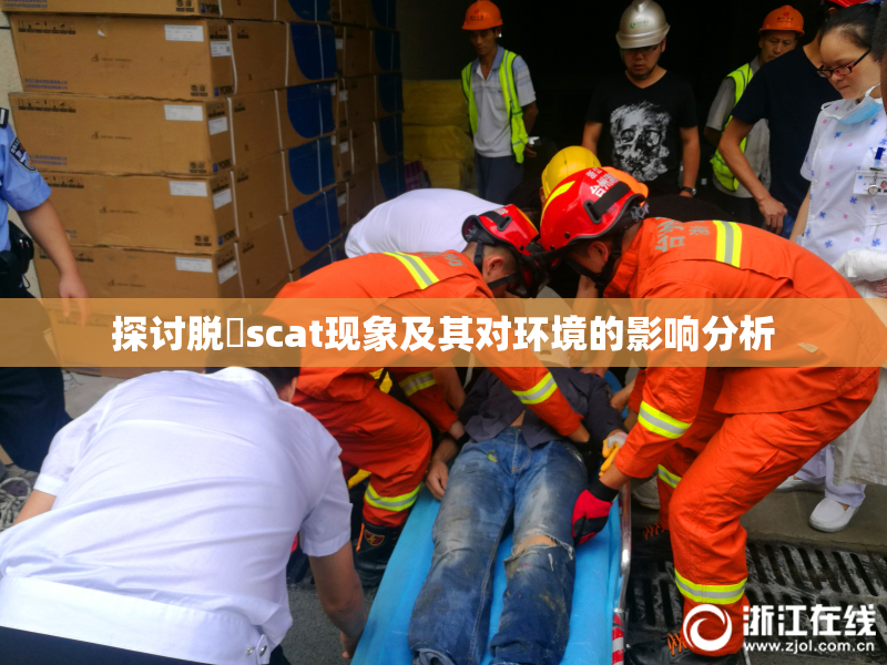 探讨脱糞scat现象及其对环境的影响分析