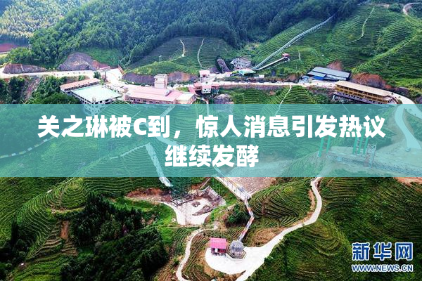 关之琳被C到，惊人消息引发热议继续发酵