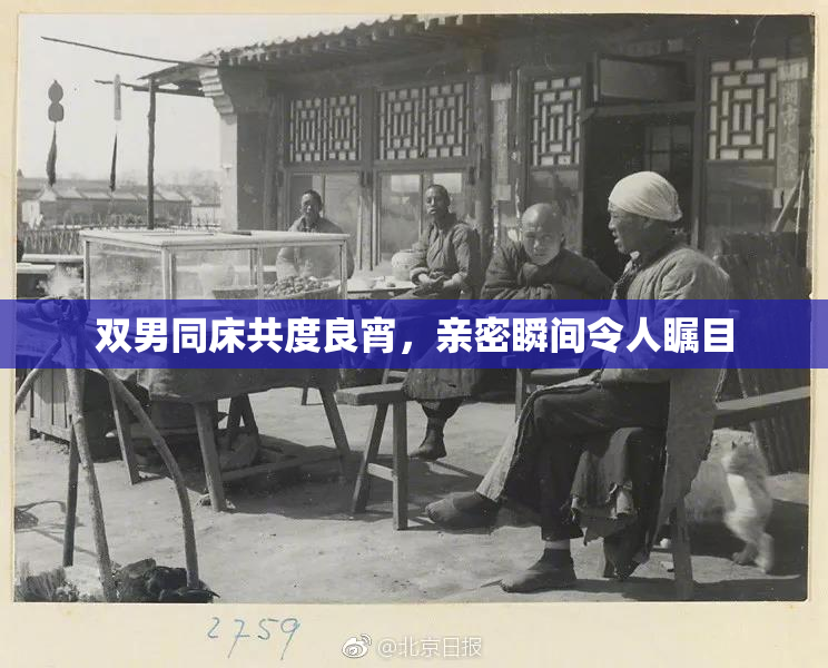 双男同床共度良宵，亲密瞬间令人瞩目