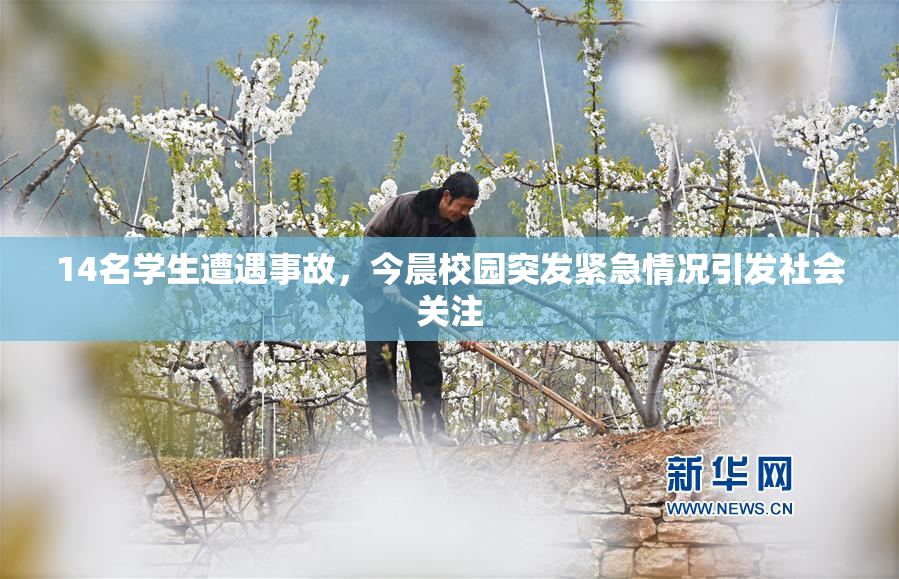 14名学生遭遇事故，今晨校园突发紧急情况引发社会关注